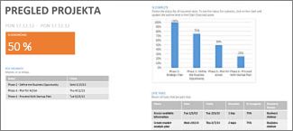 Poročilo »Pregled projekta«