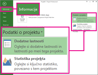 Meni »Informacije o projektu« z označenimi dodatnimi lastnostmi