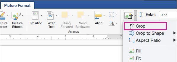 On the Picture Format tab, Crop is highlighted.