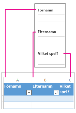 Undersökningsfrågor motsvarar kolumner i kalkylbladet