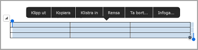 kommando fält för iPad-tabell