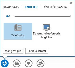Skärmbild av ljudsamtalskontroller