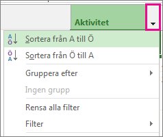 Bild av menyn Aktivitetsnamn med alternativet Sortera från A till Ö markerat