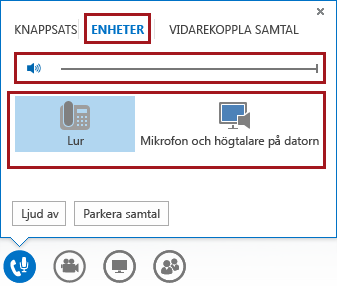 Skärmbild av ljudmenyn för ett möte