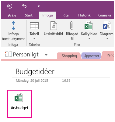 Skärmbild som visar ett bifogat kalkylblad i OneNote 2016.