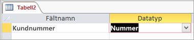 Namn och datatyp för första fältet i en ny Access-tabell