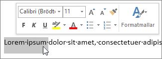 Formateringsverktygsfält för markerad text