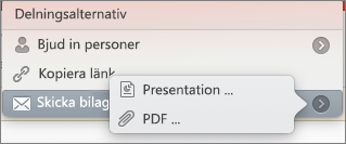 Alternativ för Dela e-post i PPT för Mac
