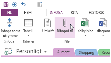 Infoga en bifogad fil så att du har en kopia i OneNote