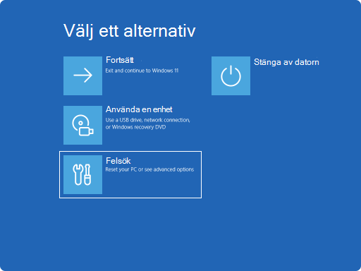 Skärmbild av Windows RE – välj ett alternativ.