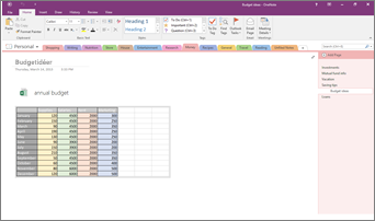 Skärmbild som visar en OneNote 2016-anteckningsbok med ett inbäddat Excel-kalkylblad.