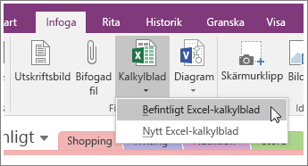 Skärmbild som visar knappen Infoga kalkylblad i OneNote 2016.