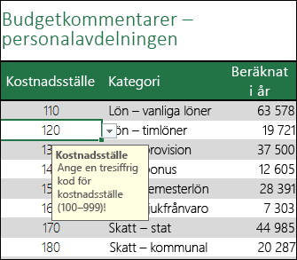 Ett indatameddelande visas när användare markerar cellen