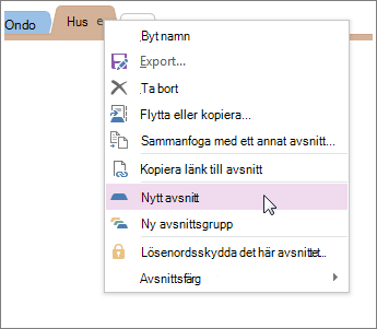 Lägga till ett nytt avsnitt i OneNote.