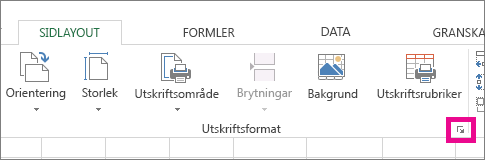 Klicka på pilen längst ned till höger i gruppen Utskriftsformat