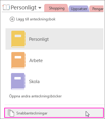 Skärmbild av anteckningsbokfönstret i OneNote 2016 med snabbanteckningar markerat