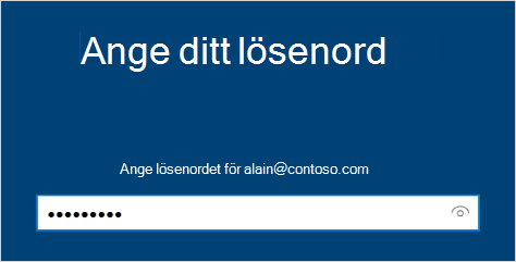 Ange lösenordsskärmen