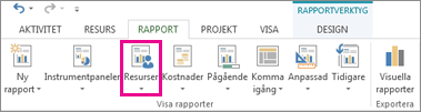 Knappen Resurser på fliken Rapport
