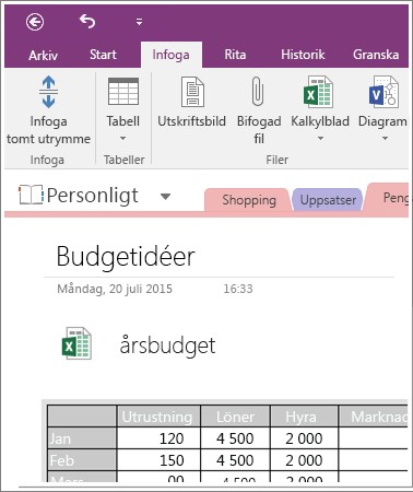 Skärmbild som visar ett inbäddat kalkylblad i OneNote 2016.