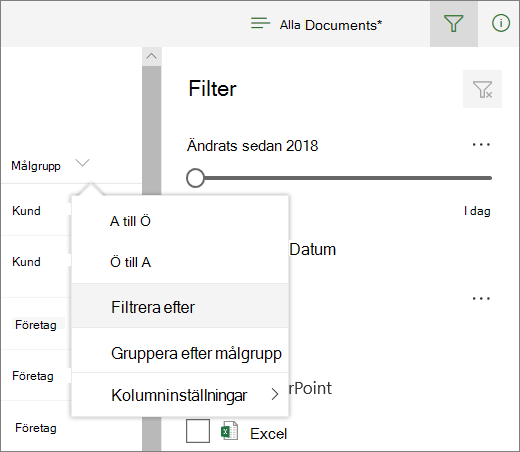 Klicka på Filtrera efter för att öppna filterpanelen