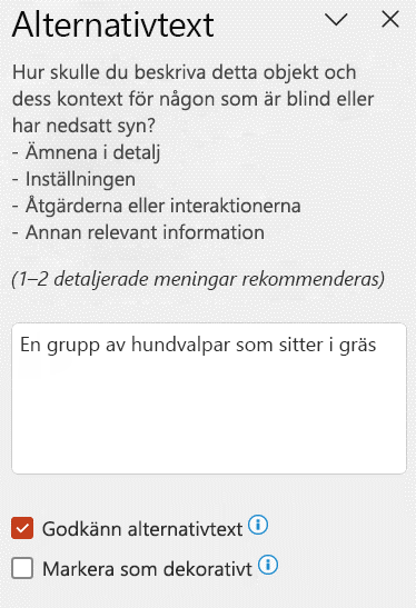 Automatisk alternativ text som visas i fönstret alternativ text med kryssrutan Godkänn alternativ text markerad.