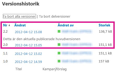 Versionshistorik där delversionen raderats