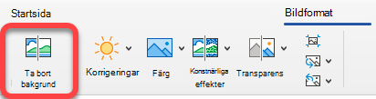 Alternativet Ta bort bild finns på fliken Bildformat i Office-program.