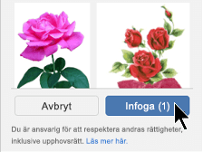 Välj knappen Infoga längst ned till höger i dialogrutan