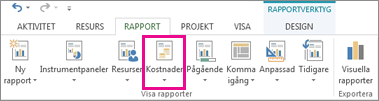 Knappen Kostnader på fliken Rapport