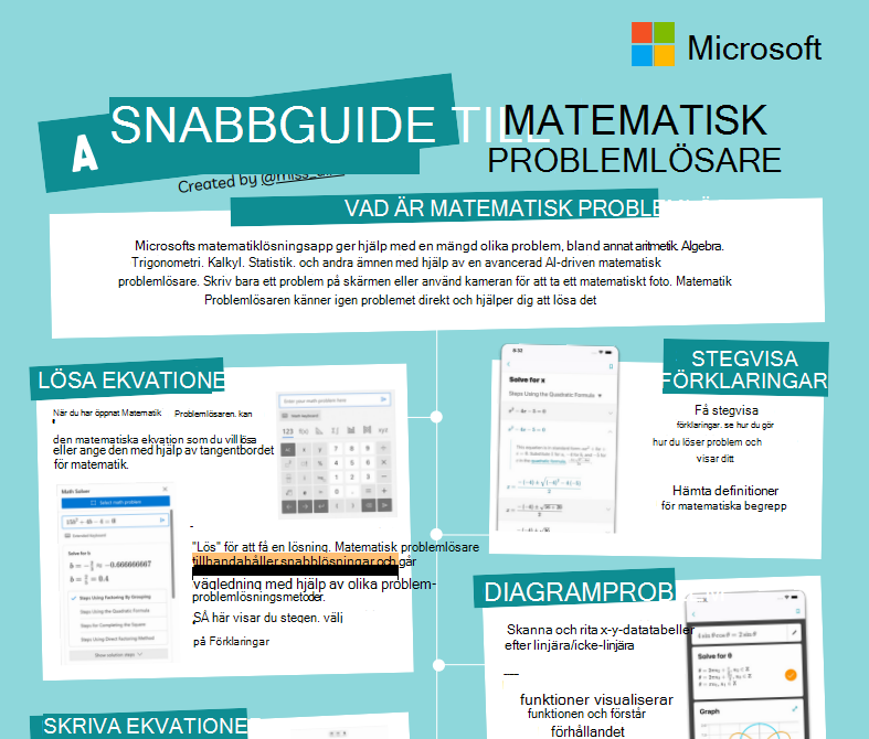 matematisk problemlösare