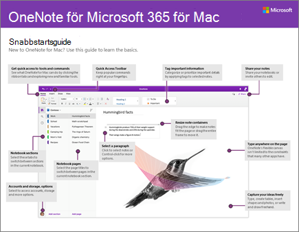 Snabbstartsguide för OneNote 2016 för Mac