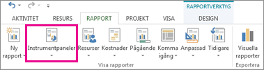 Knappen Instrumentpaneler på fliken Rapport