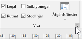 Skärmbild av verktygsfält för Linjal, Rutnät och Stödlinjer med ikonen Alternativ markerad