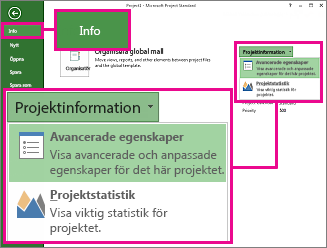 Menyn Projektinformation med Avancerade egenskaper markerat