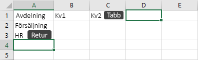 Inmatning av data i en cell