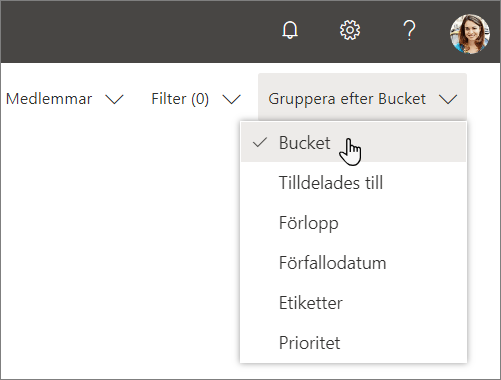 Skärmbild av listrutan Gruppera efter i Planner, med Bucket valt