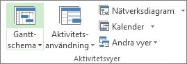 Gruppen Aktivitetsvyer på fliken Visa
