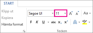 Rutan Teckenstorlek på fliken Start