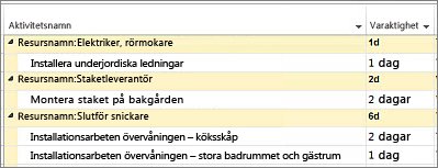 Bild av aktiviteter, grupperade efter resurser i ett Gantt-schema