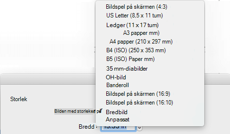 Det finns flera fördefinierade alternativ för bildstorlek i dialogrutan Utskriftsformat