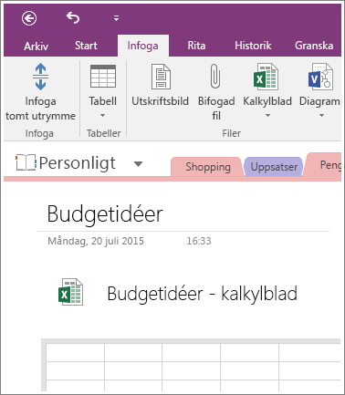 Skärmbild som visar ett nytt kalkylblad i OneNote 2016.