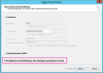 Välj Konfigurera serverinställningar eller ytterligare tjänsttyper manuellt.