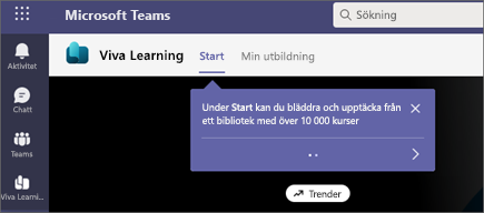 Bild av coachmarkeringar i Viva Learning.