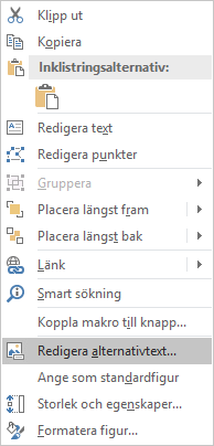 Menyn Redigera alternativtext för former i Excel Win32