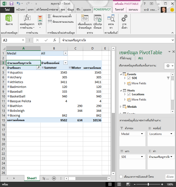 PivotTable ที่กรองแล้ว