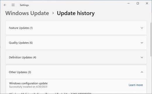 แสดงหน้า ประวัติการอัปเดต พร้อมกับส่วน การอัปเดตอื่นๆ ขยายอยู่