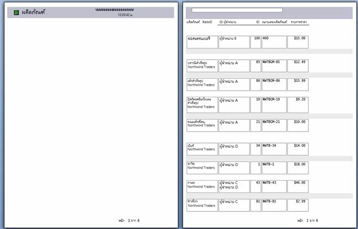 แสดงตัวอย่างของหน้ารายงานที่ใช้ตัวแบ่งหน้า