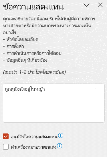 ข้อความแสดงแทนอัตโนมัติที่แสดงในบานหน้าต่างข้อความแสดงแทนที่มีการเลือกกล่องกาเครื่องหมายอนุมัติข้อความแสดงแทน