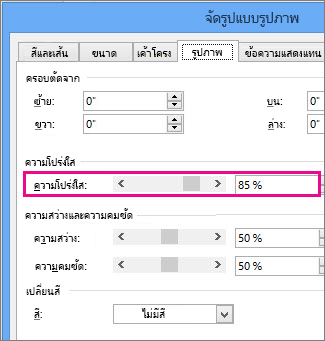 สกรีนช็อตของกล่องโต้ตอบ จัดรูปแบบรูปภาพ ใน Publisher