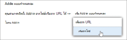 Add-in แบบกําหนดเอง